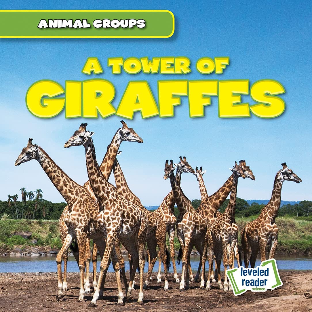 A Tower of Giraffes (Animal Groups): Lynch, Seth: 9781538263617: Books -  Amazon