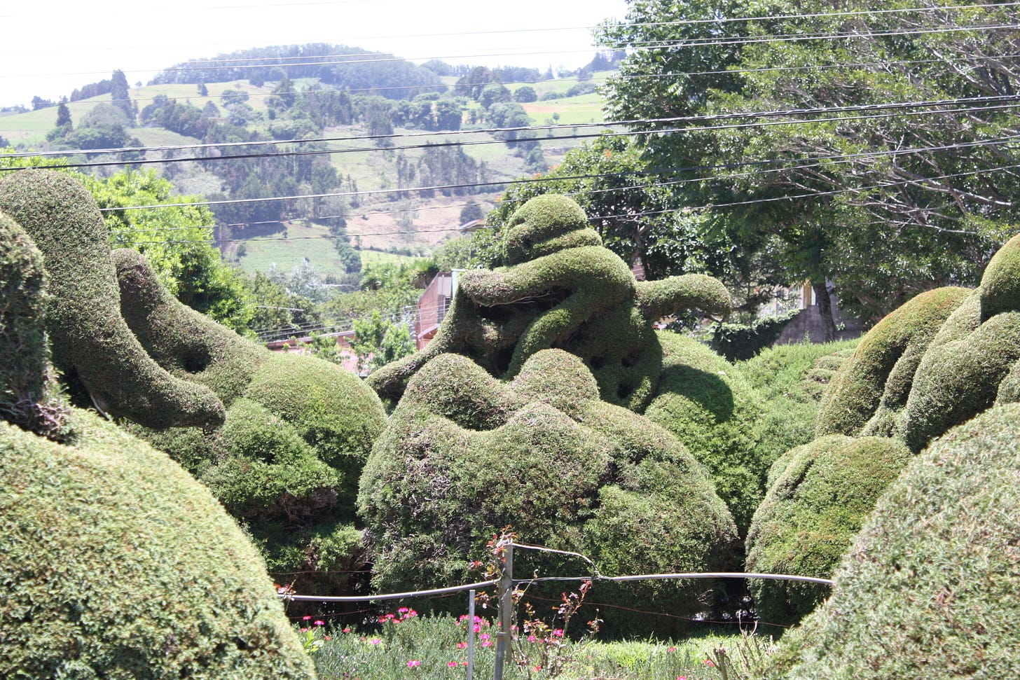 photo of a topiary garden where the trees are trimmed to look like animals