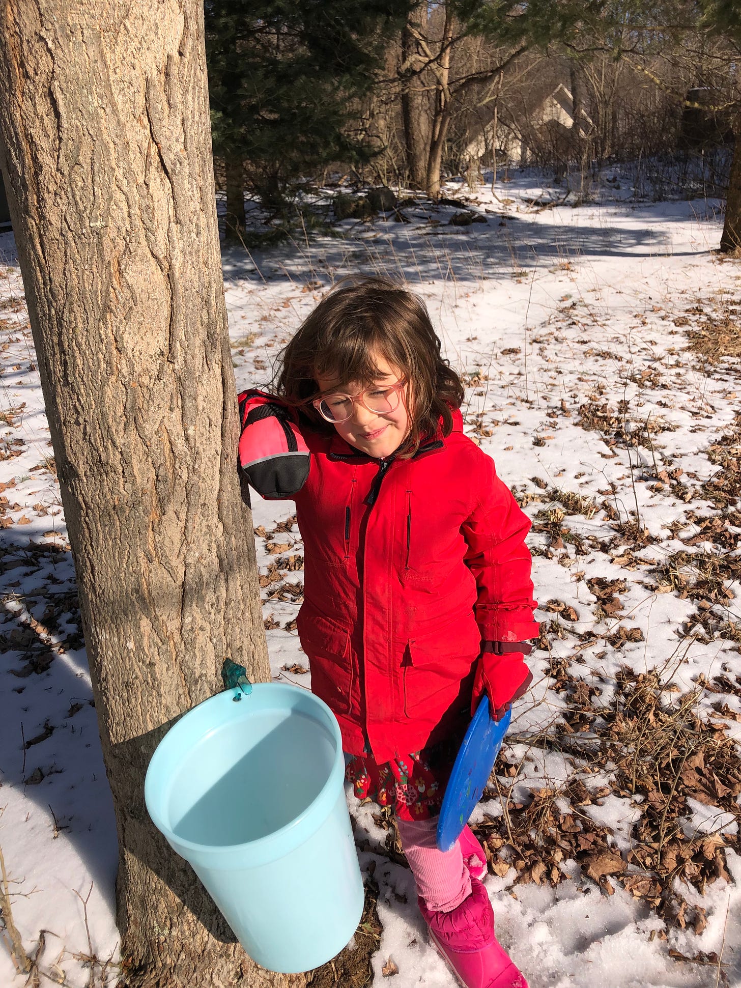 child with a maple syrup bucket