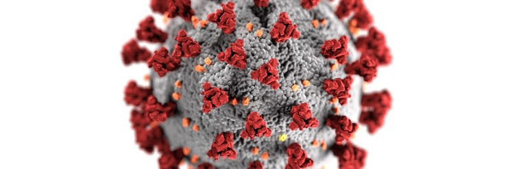 Coronavirus generic image