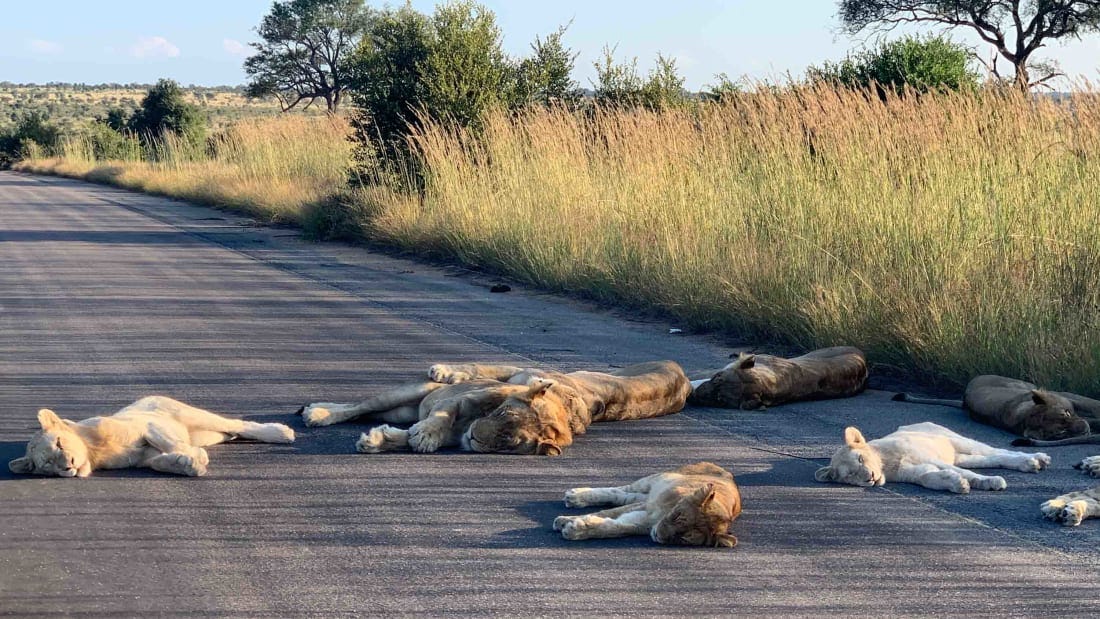 The road is normally busy with tourists.