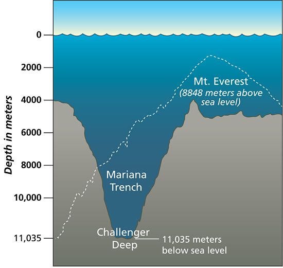 Cameron premieres Mariana Trench dive footage in 3D | 3D Focus | Mariana  trench ocean, Marianas trench, Ocean trench
