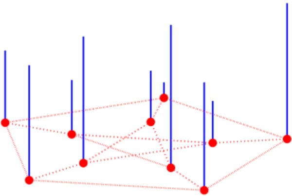 A graph function over the vertices of the Peterson graph.