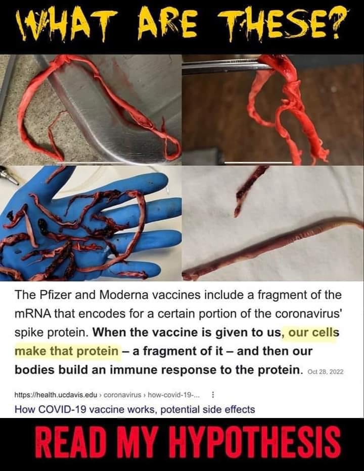 May be an image of text that says "IHAT ARE THESE? The Pfizer and Moderna vaccines include a fragment of the mRNA that encodes for a certain portion of the coronavirus' spike protein. When the vaccine is given to us, our cells make that protein a fragment of -and then our bodies build an immune response to the protein. Oct 28, 2022 https://health.ucda edu coronavirus how-covid-19-. How COVID-19 vaccine works, potential side effects READ MY HYPOTHESIS"