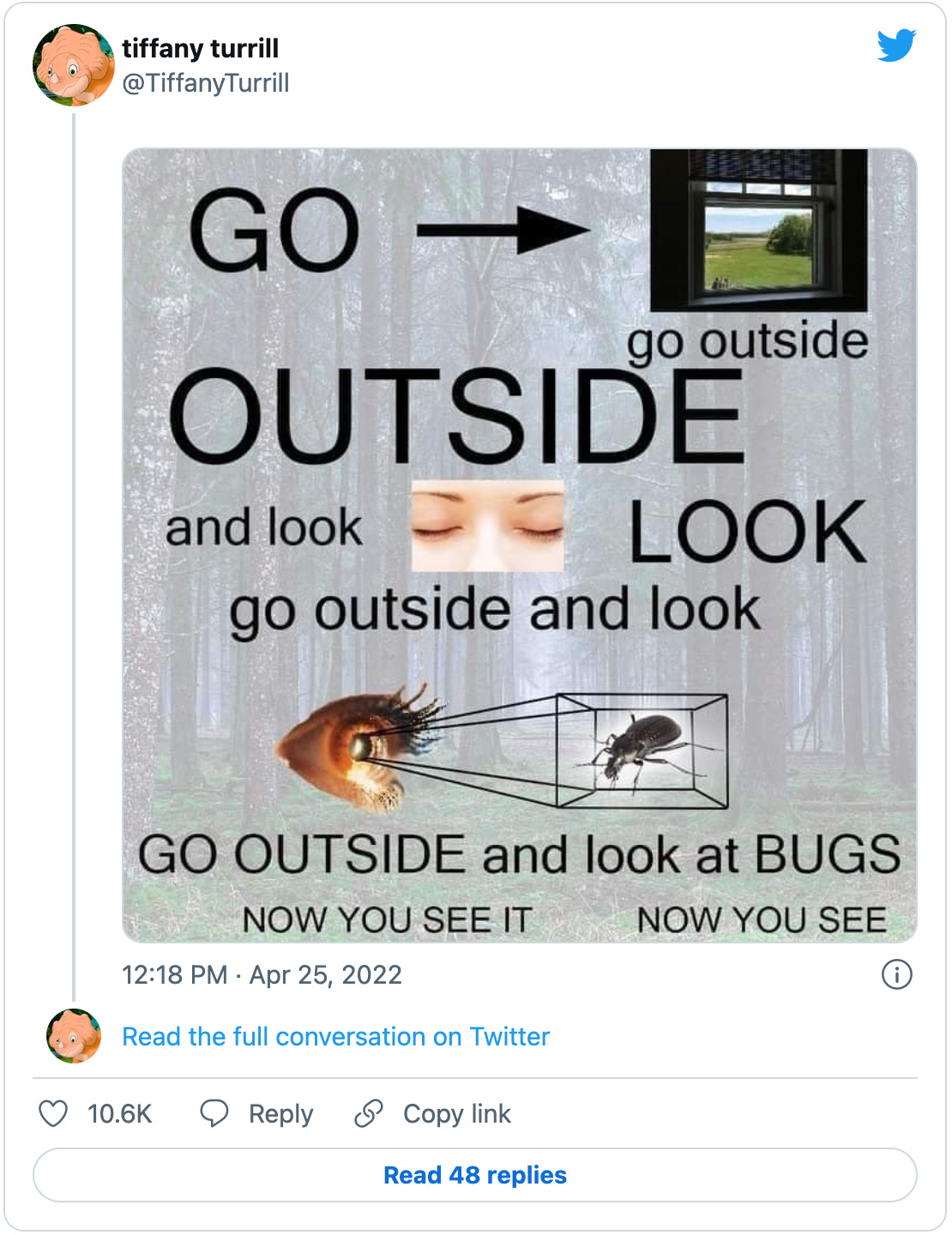 Tweet by @TiffanyTurrill: An image mockup with a humorous and pleasing variety of fonts and text sizes that says “GO OUTSIDE → go outside and look 👀 LOOK go outside and look GO OUTSIDE and look at BUGS now you see it NOW YOU SEE”
