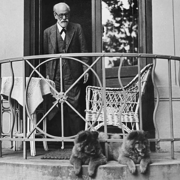 Freud com Jofi e Nun em Viena