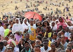 Image result for Hunger in the Tigrayan Region