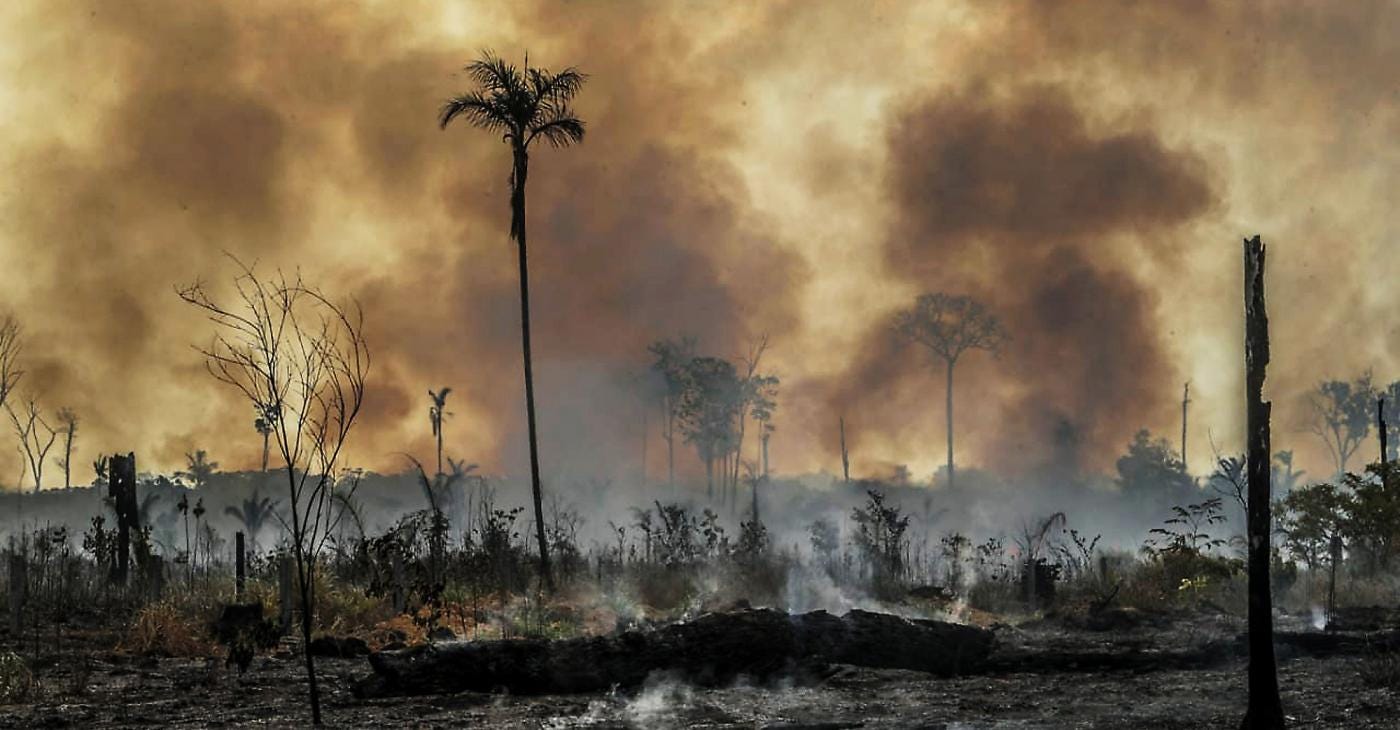 AMDA - Associação Mineira de Defesa do Ambiente - Violência e impunidade  impulsionam destruição da Amazônia