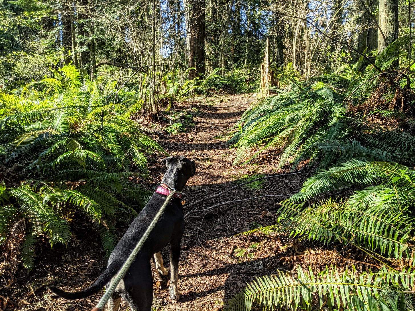 Mabel is eager to travel the path of understanding. (Photo: David Roberts)