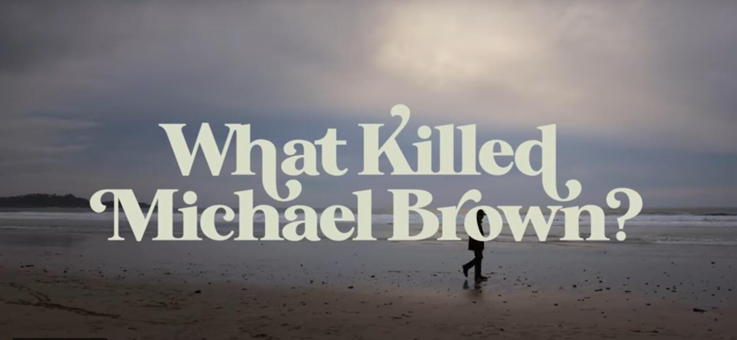 Shelby Steele: What Killed Michael Brown? Bad ideas ...