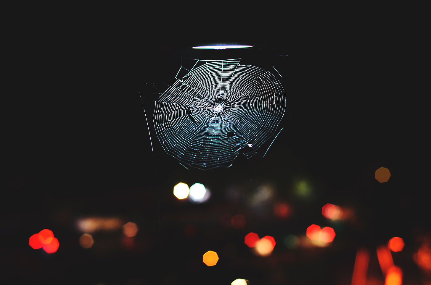 photo of a spider web at night. Dark web, get it?