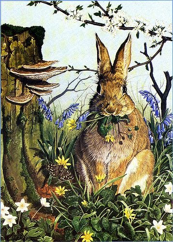Flickriver: Most interesting photos tagged with bunnies | Rabbit  illustration, Rabbit art, Bunny art