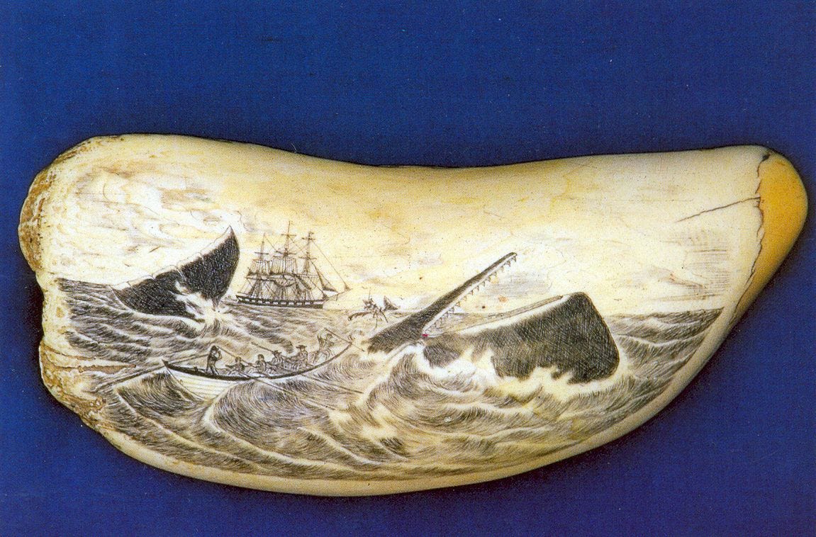 SCRIMSHAW IMAGES | Scrimshaw. Here, an image of a whale hunt carved on a successfully ... | Scrimshaw, Scrimshaw art, Whale