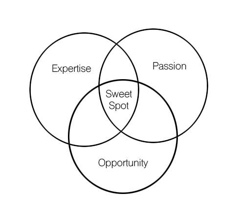 Finding Your Sweet Spot — 221 B Business Consulting