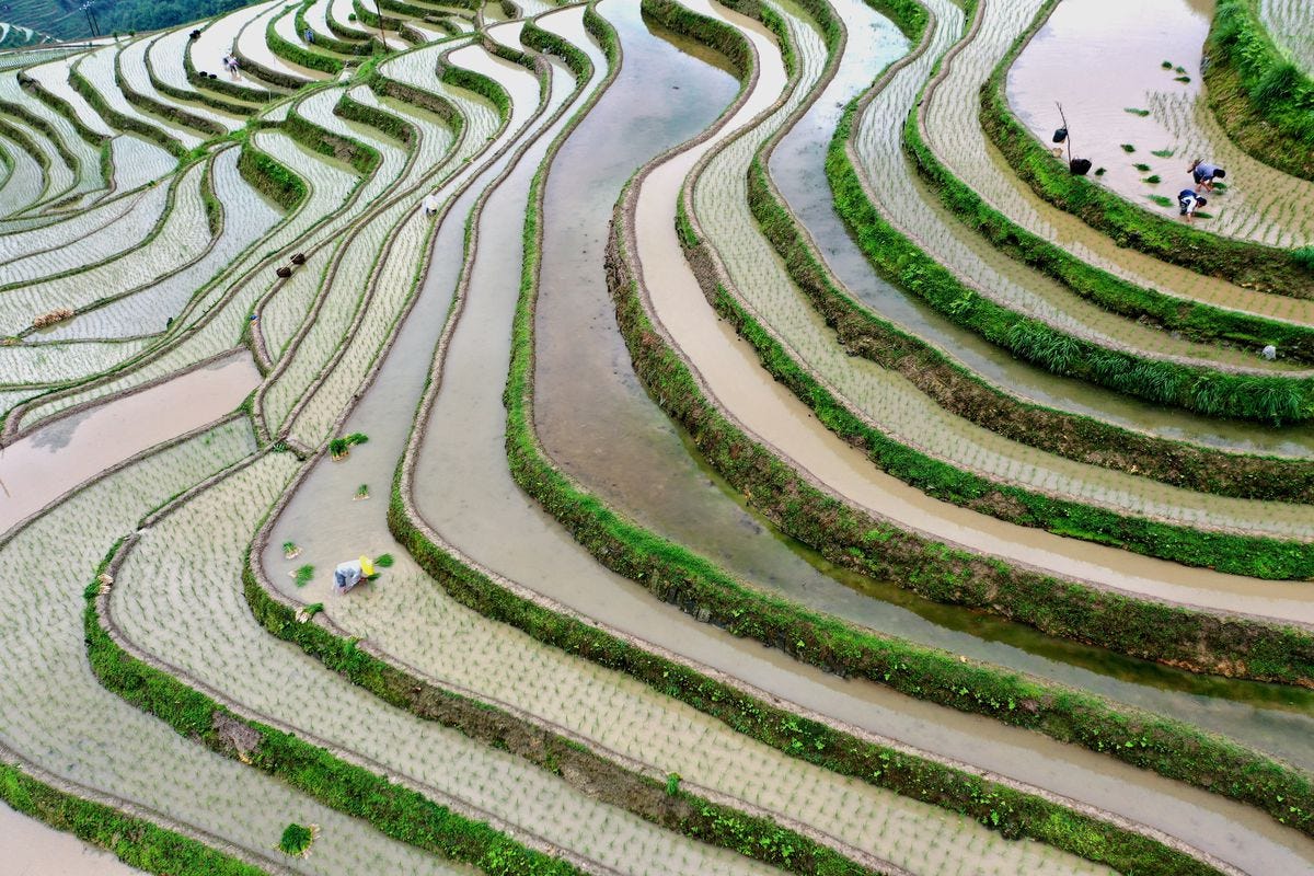 Farmers work at Jiabang terraced rice fields at Yueliang Mountain (or Moon Mountain) on May 26, 2019, in Congjiang County, Guizhou Province of China.