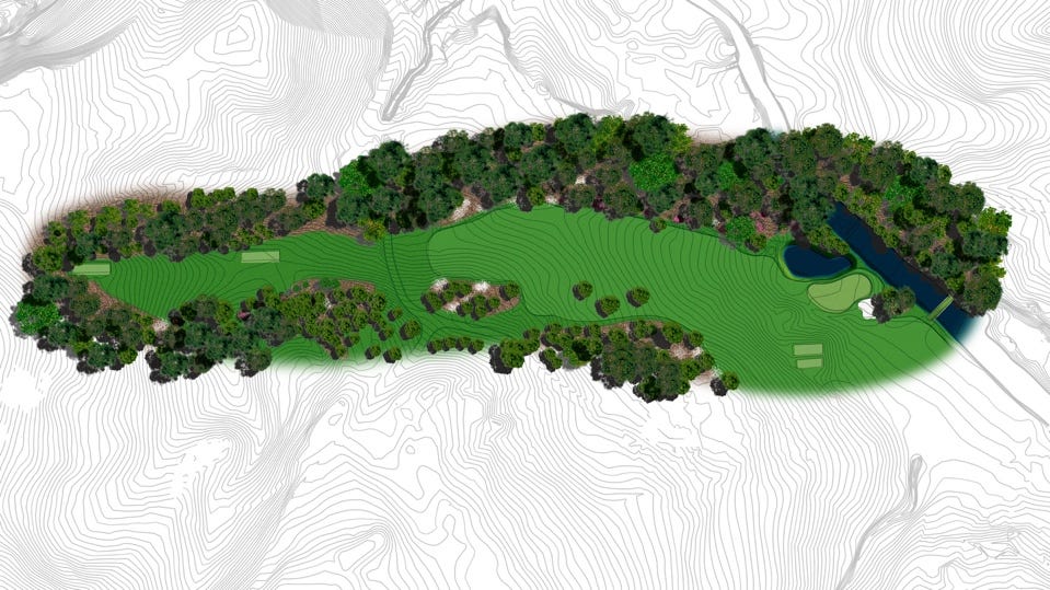 The Masters: Hole #11 White Dogwood