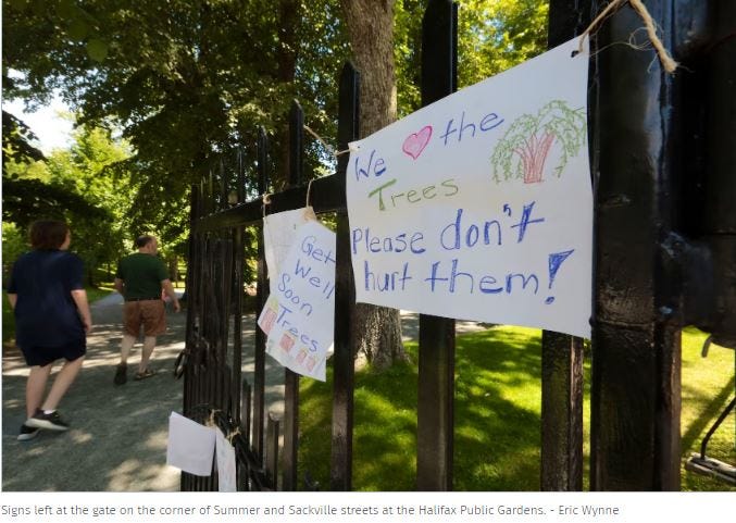 Photo of get-well-soon messages for the trees attached to the fence of the public gardens. By Eric Wynne.