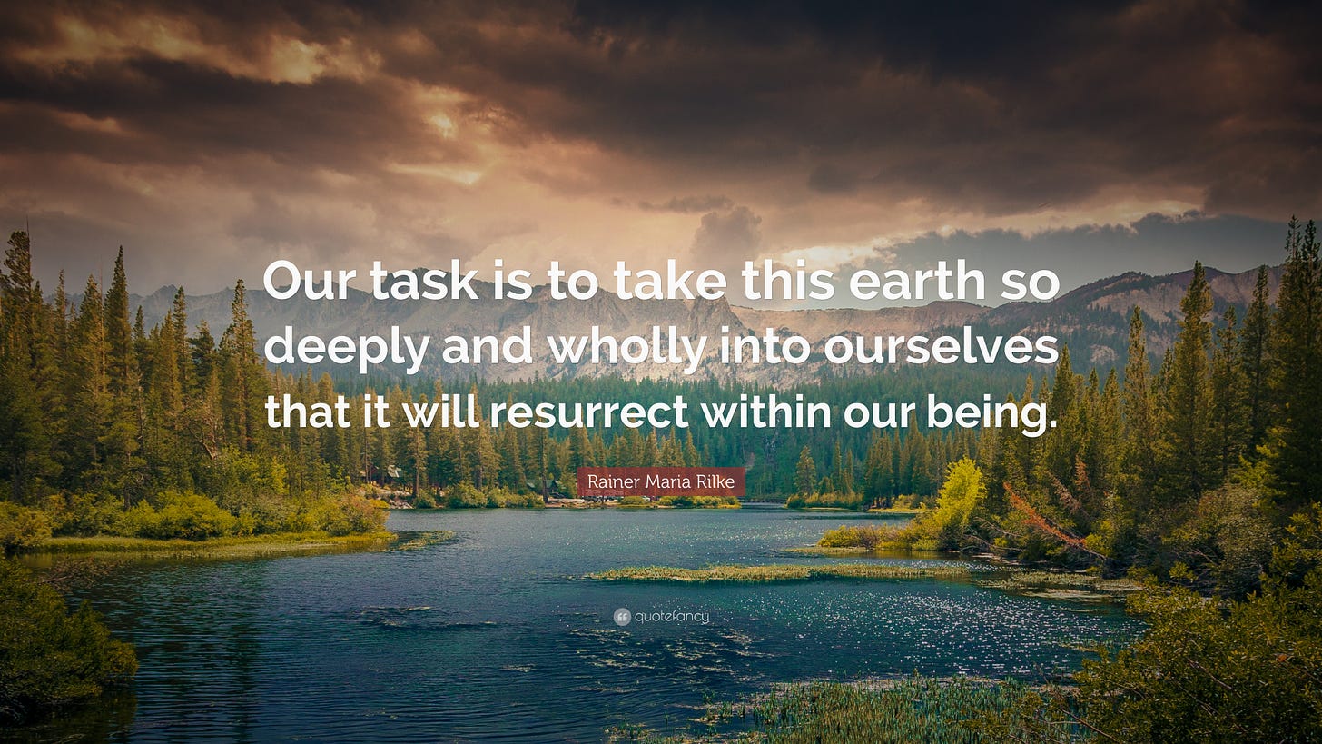 Rainer Maria Rilke Quote: “Our task is to take this earth so deeply and  wholly into