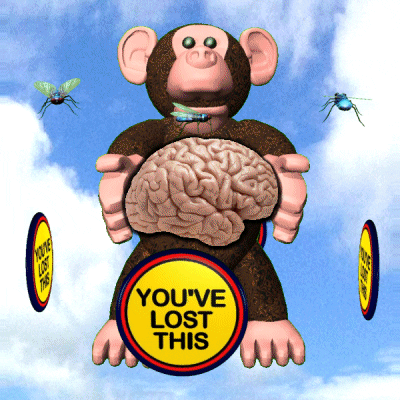 monkey squeezing a brain with animated text you've lost it circling around him
