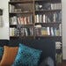 Bookcase and Couch Bookcase and Couch