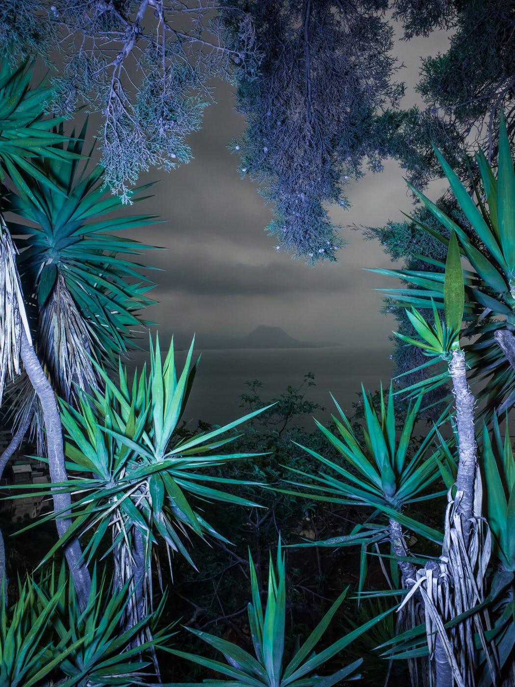 A photo of a mist-shrouded mountain, perhaps an island, across a body of water, peaking out from flood-lit ferns. A photo of a mist-shrouded mountain, perhaps an island, across a body of water, peaking out from flood-lit ferns.