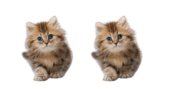 LSB substitution cat image difference