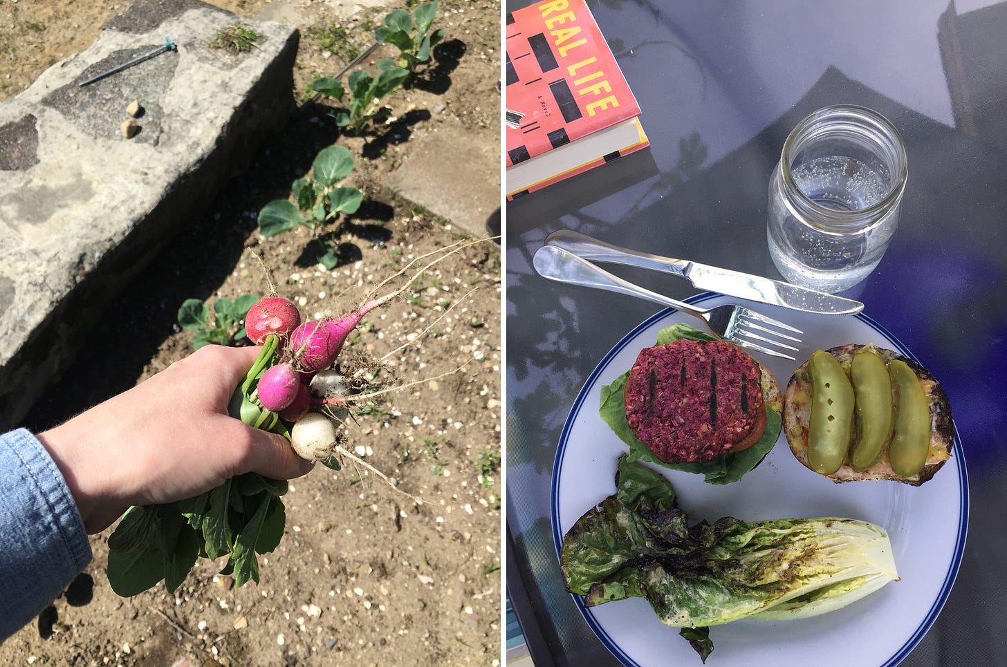 Left image: a hand holding a bunch of radishes in various colours, above a garden. Right image: a plate with half a grilled head of romaine in Caesar dressing, next to an open burger showing a pink veggie patty on one side and pickles on the other. A novel is visible in the background.