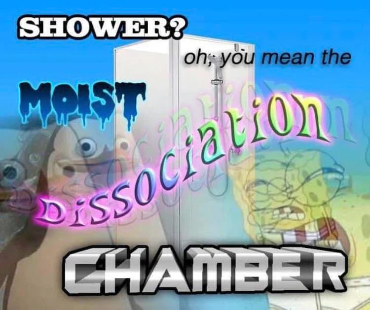 A meme that says 'shower? You mean the moist dissociation chamber'