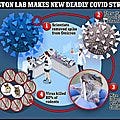 Experts slam boston lab where scientists have created a new deadly covid strain with an 80% kill rate