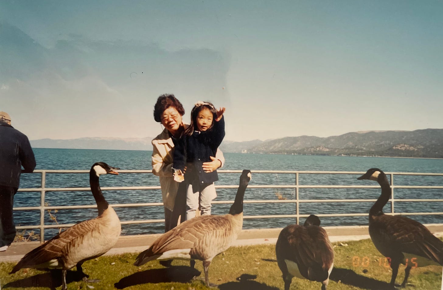 small 4 year old girl wearing headband, navy cardigan, grey leggings. she is standing on a ledge being held by her grandmother as she tosses up a piece of food in the air. they are surrounded by 4 geese standing in grass, and behind them all is blue rippled water, blue sky, and some mountains.