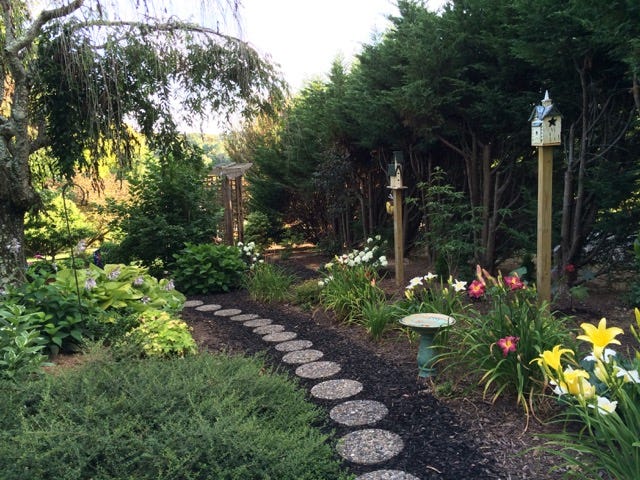 Pathway in the garden.