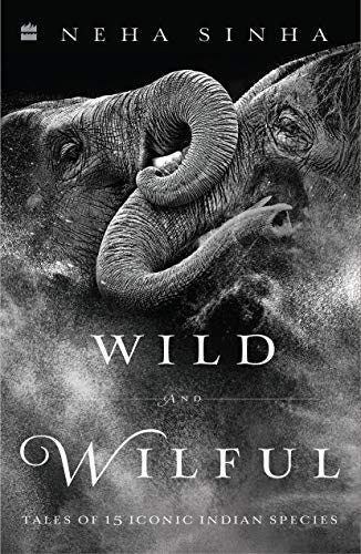Wild And Wilful eBook : Sinha, Neha: Amazon.in: Kindle Store