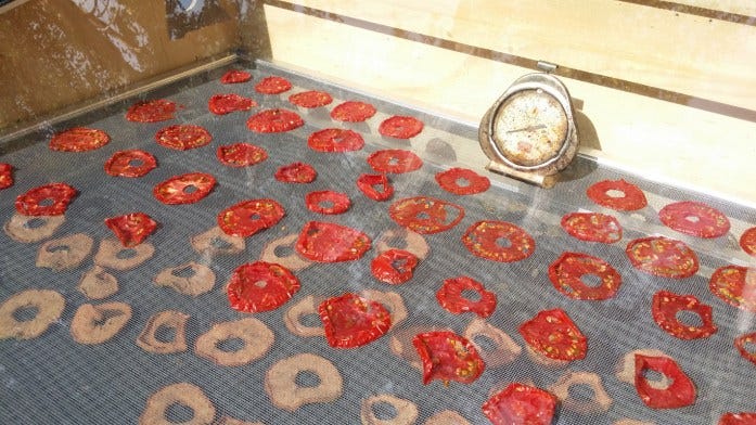 solar dehydrated tomatoes