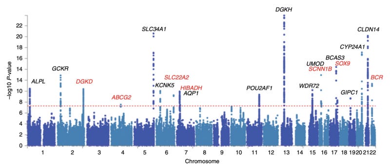 File:Manhattan plot from a GWAS of kidney stone disease.png