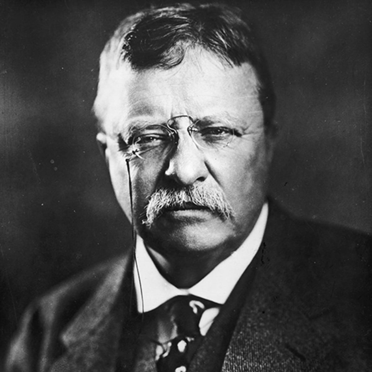Theodore Roosevelt - Quotes, Children &amp; Presidency - Biography