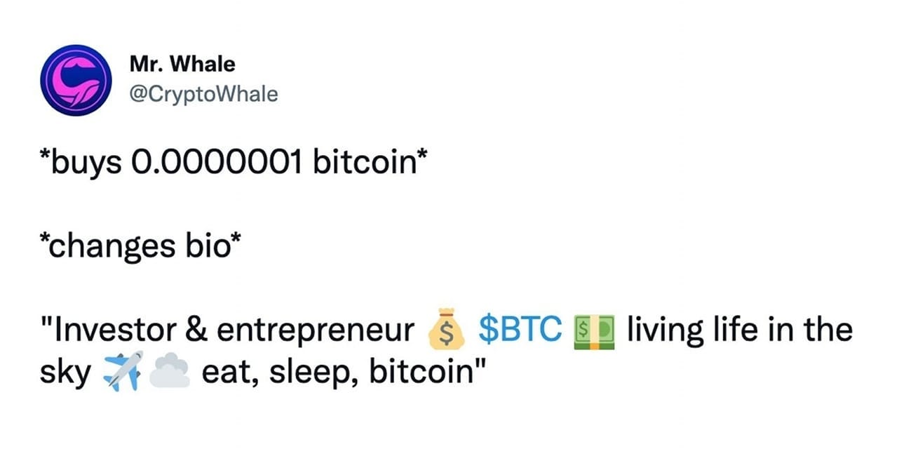May be an image of text that says 'Mr. Whale @CryptoWhale *buys 0.0000001 bitcoin* *changes bio* "Investor & entrepreneur $ $BTC sky eat, sleep, bitcoin" living life in the'