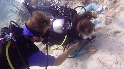 Rescue diver course