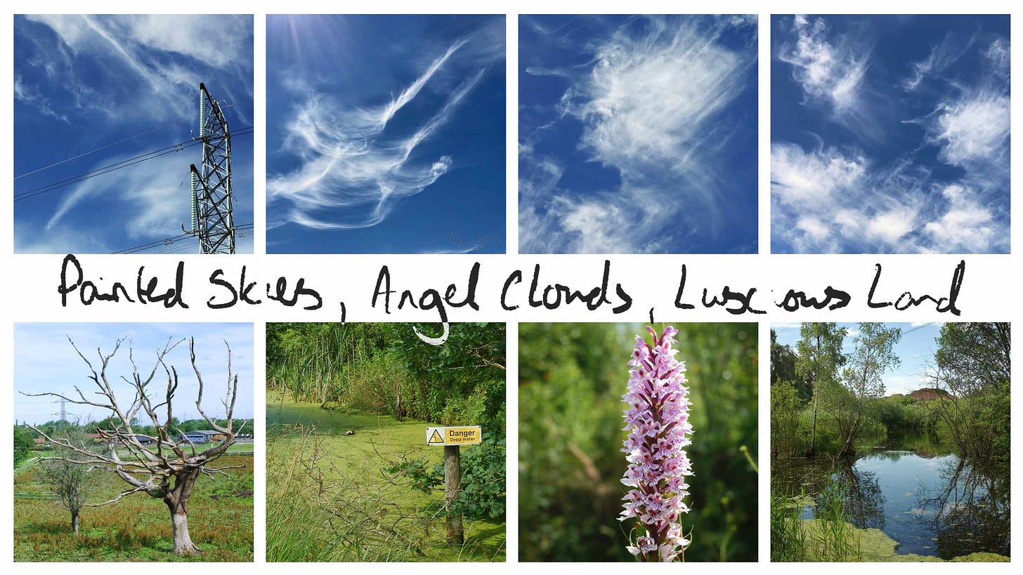 2020-07-12-painted-skies-angel-clouds-luscious-land-banner.jpg
