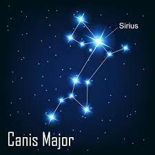Location of Sirius in Canis major | Sirius star, Constellations, Sirius
