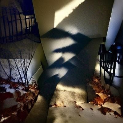 No longer afraid of the dark or midday shadows