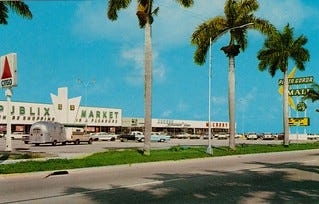 vintage photo of a publix supermarket in Punta Gorda, Florida. The supermarket store is white, with green lettering. In front are a line of tall palm trees on a grassy median. Vintage cars dot the carpark just in front of the building. the skies are bright blue. 