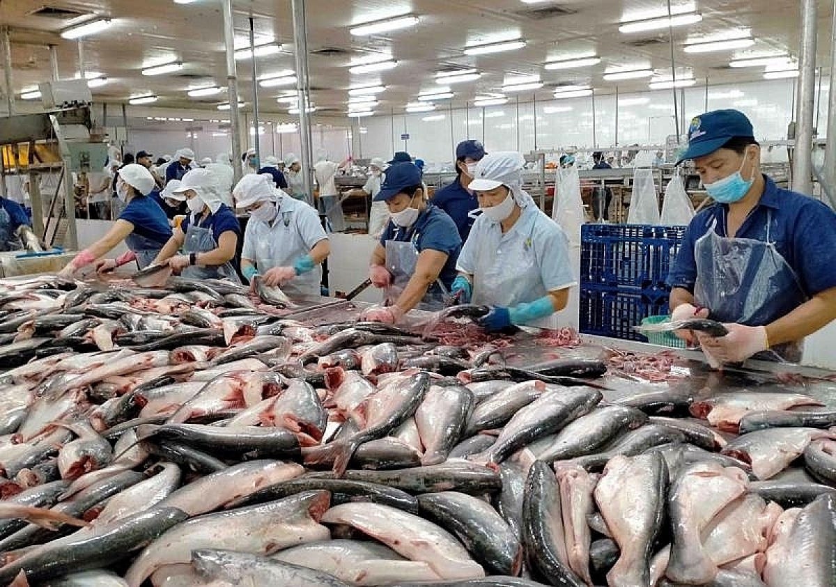 Shrimp, pangasius exports enjoy exceptional growth in China