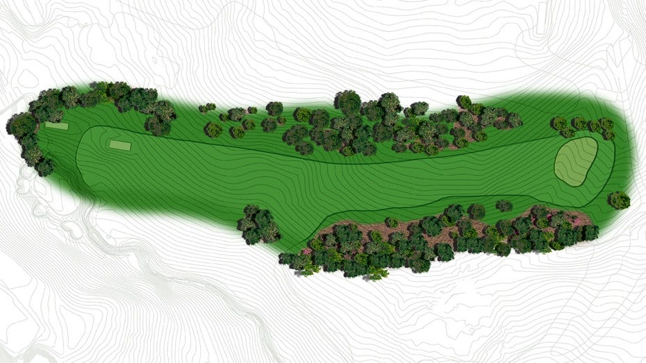 The Masters: Hole #14 Chinese Fir