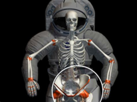 Areas of Study: Bone Health | NASA