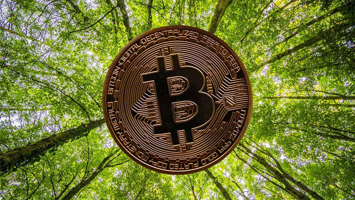 Bitcoin Carbon Footprint: The Future of Online Payments - EcoBahn