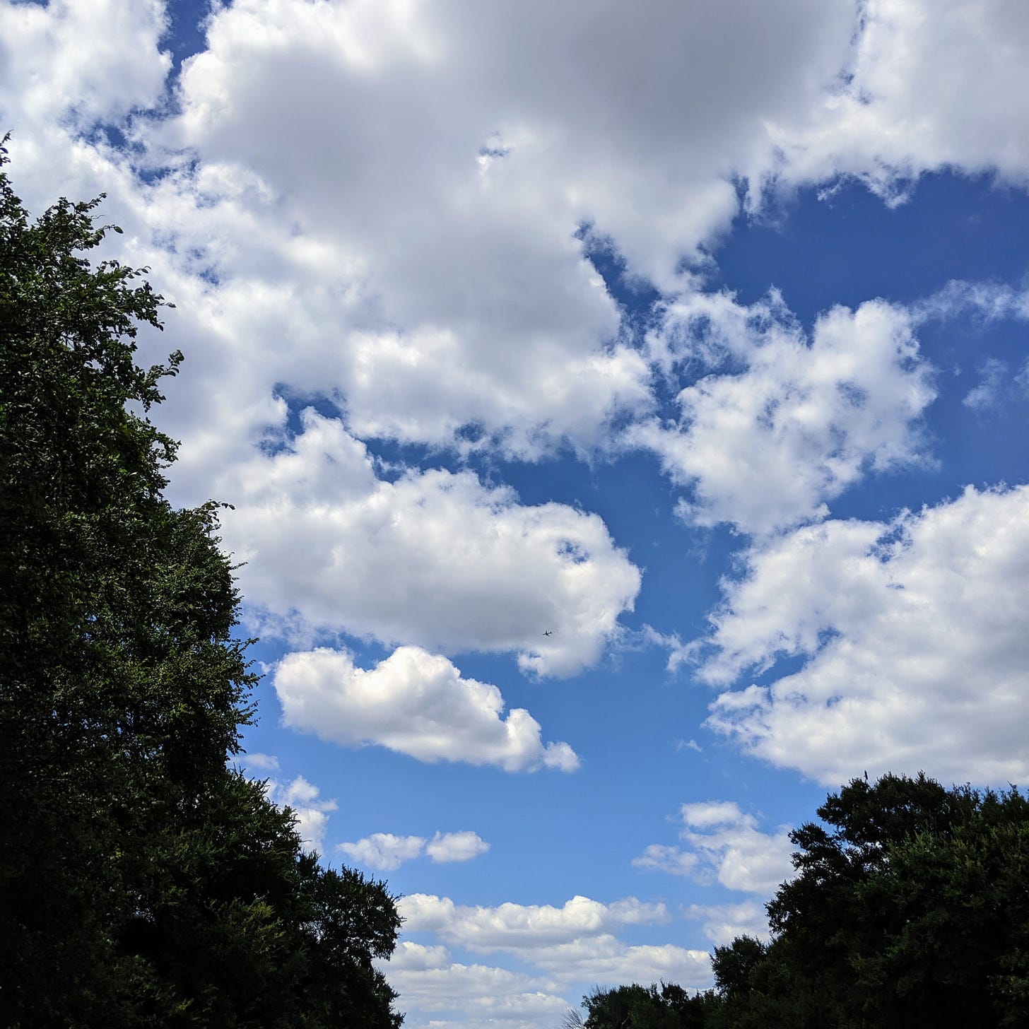the bluest sky with the fluffiest white clouds over Dallas Texas in 2019. 