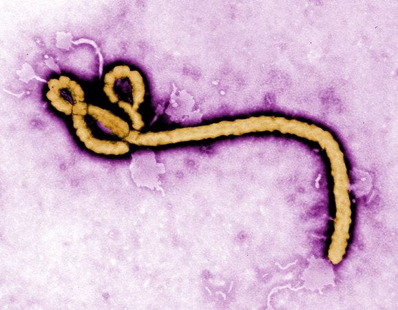 Ebola (Nat Geo)
