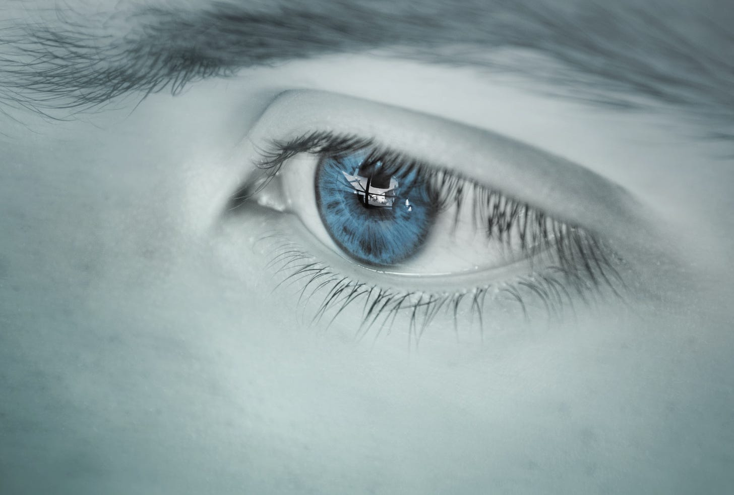 Photo by Magoi: https://www.pexels.com/photo/blue-eyed-pupil-wallpaper-281279/