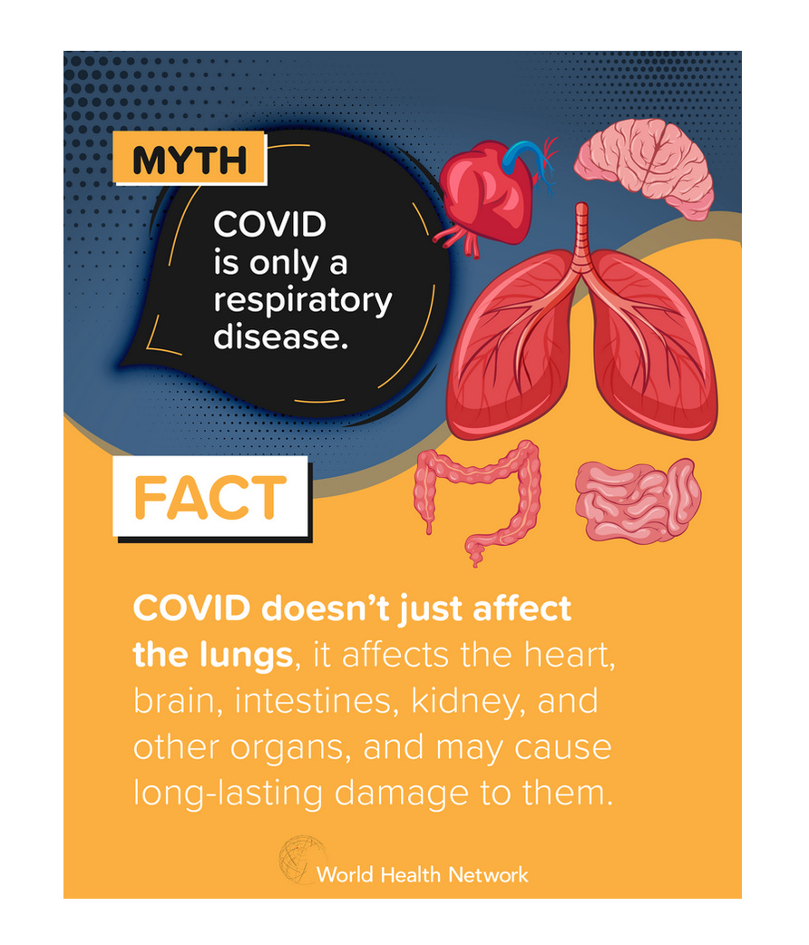 Myth covid is only a respiratory disease fact covid doesn't just affect the lungs it affects the heart brain intestines kidney and other organs and may cause long-lasting damage to them. world health network