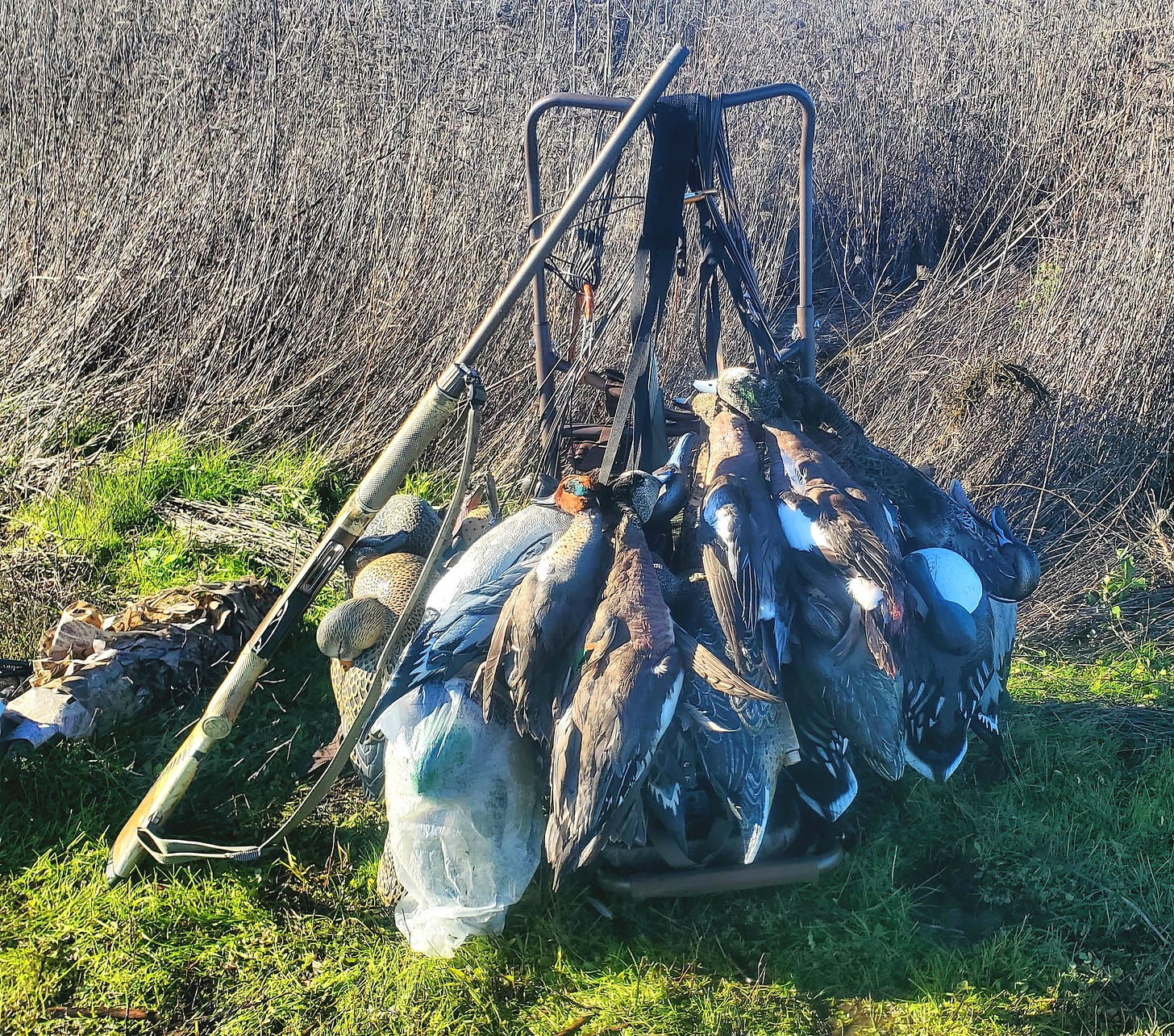 Pack frame loaded with decoys and ducks